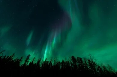 spectacular-display-northern-lights-pinehouse-260nw-2377823465